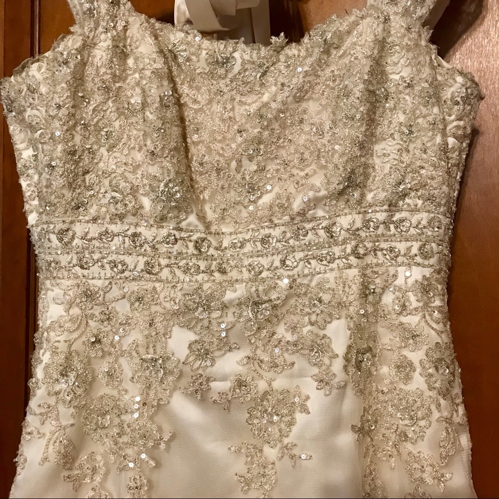 🍾 Champagne 🥂 colored wedding dress